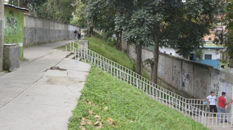 Frente a la Filomena Coronilw