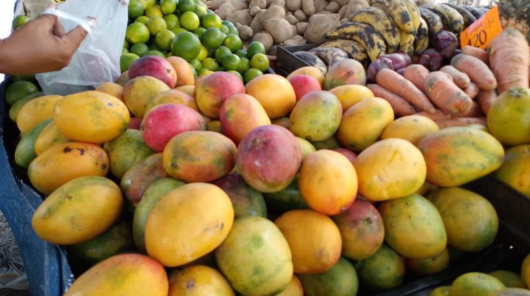 Frutas y verduras