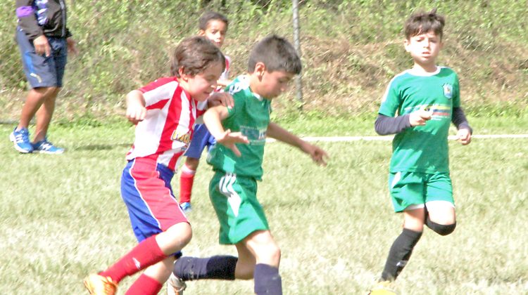 Fueron 40 minutos de pura candela entre ambos jugadores