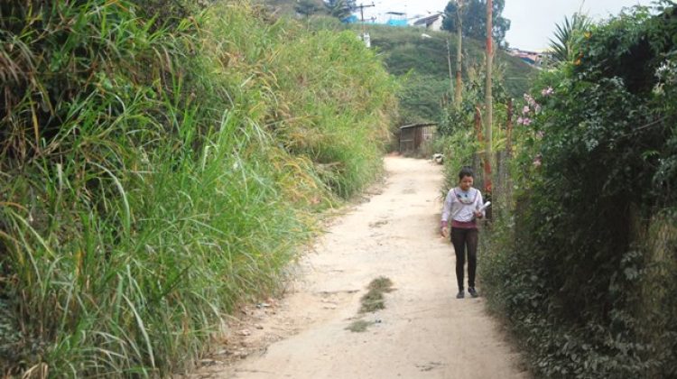 GUADALUPE