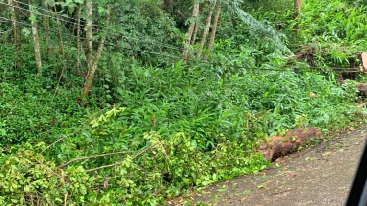 IMG-20220704-WA0023