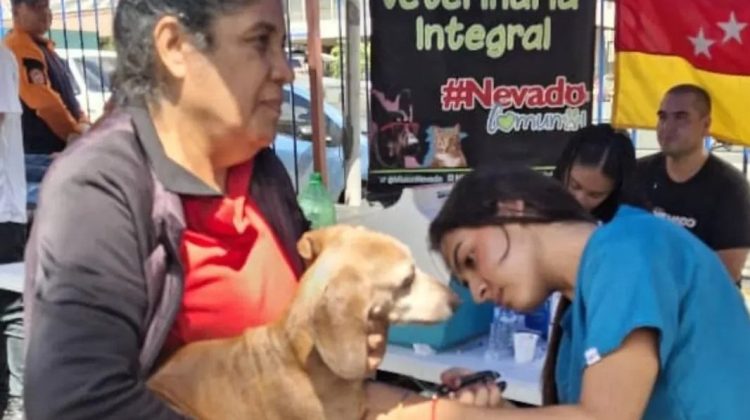 IMG-20260320-WA0040-2-1066x675