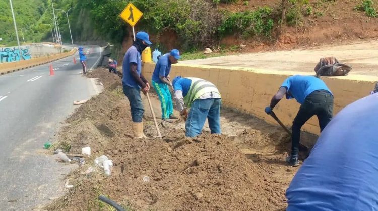 IMG_20240722_084845_876