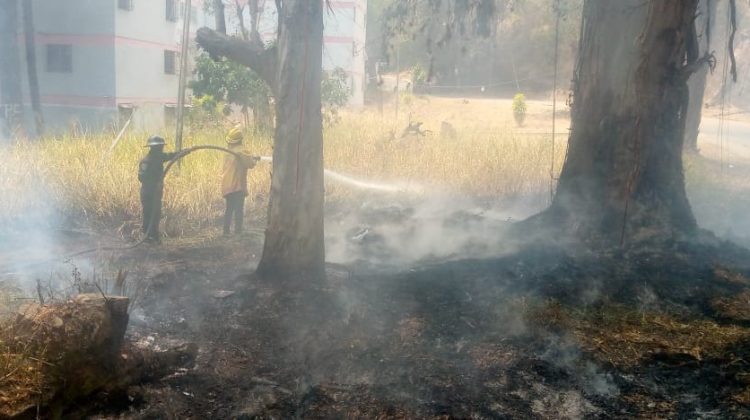 INCENDIOS FORESTALES