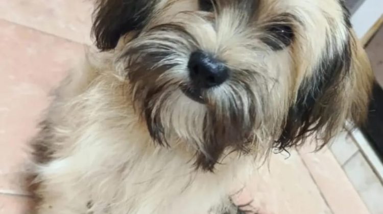 Imagen de WhatsApp 2025-12-07 a las 20.28.30_2ce218b9