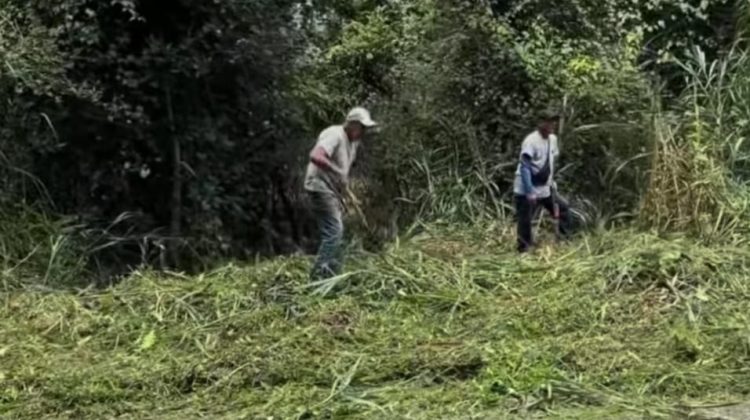 Imagen de WhatsApp 2025-12-09 a las 17.18.08_b3c05149