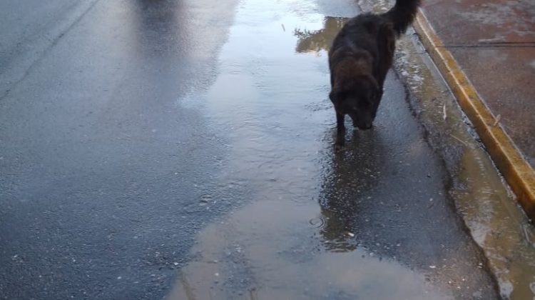 Imagen de WhatsApp 2025-12-10 a las 08.39.02_888596a9