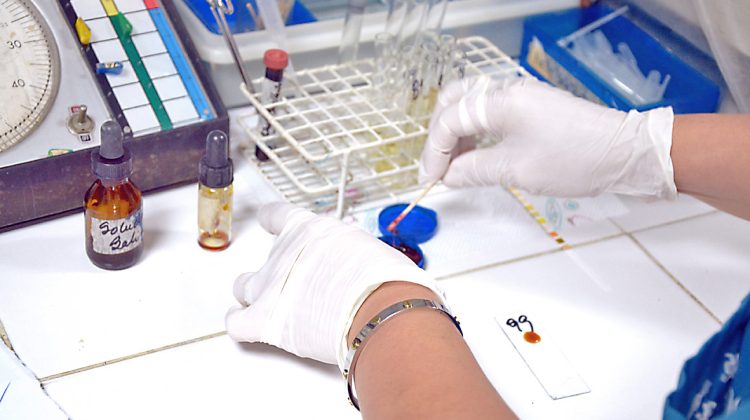 LABORATORIO 2