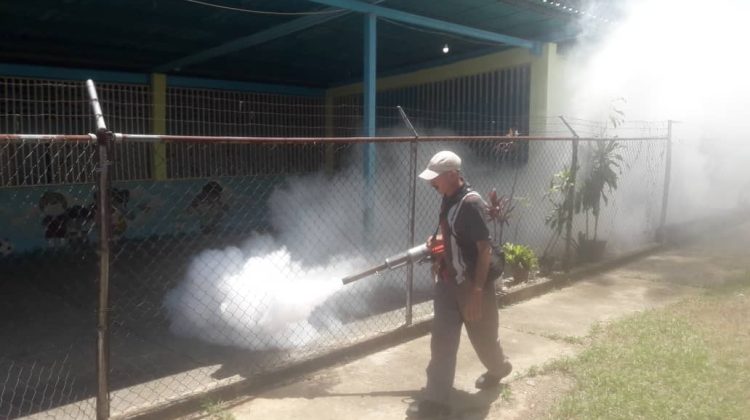 La fumigación se hace los días jueves y viernes