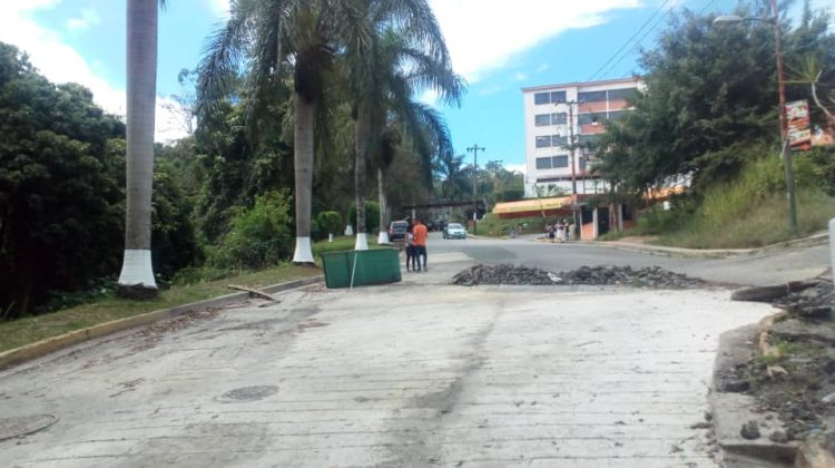 La quinta Vialidad