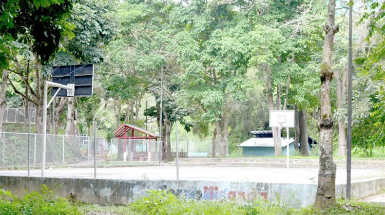 Los Lagos
