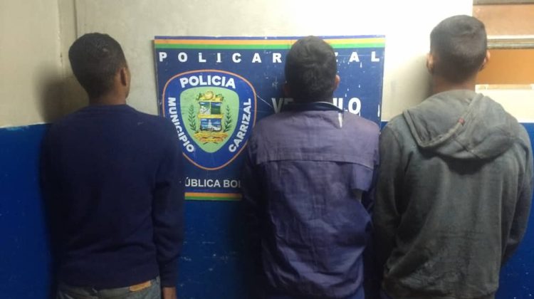 López Pérez, Núñez Arguello y Mangarre Arana, detenidos por Policarrizal por hurto en una vivienda.