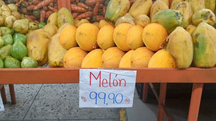 MELON copia