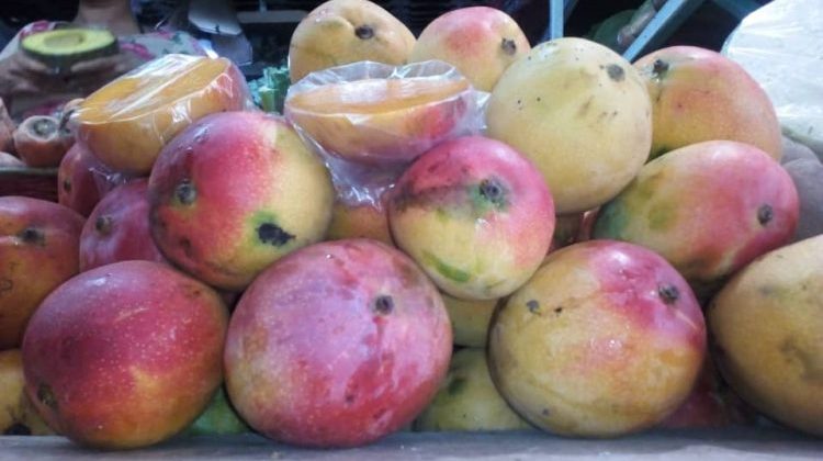 Mangos