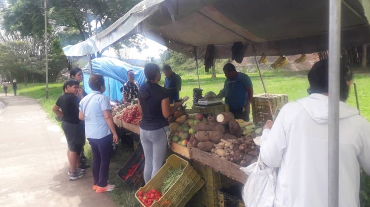 Mercadito-solar-de-la-Quinta