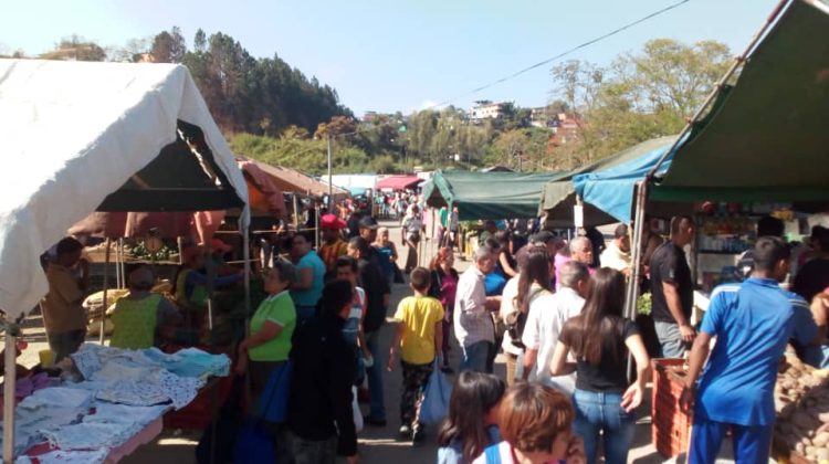 Mercado-Lamiranda