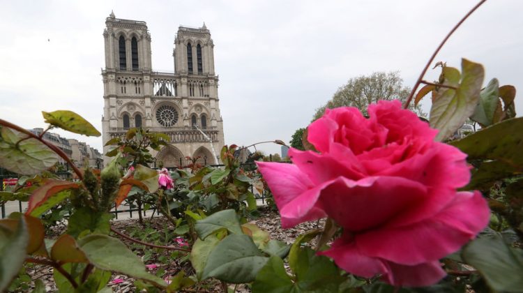 Mko6ZOWpIcLFbRCOjJ1VJ2