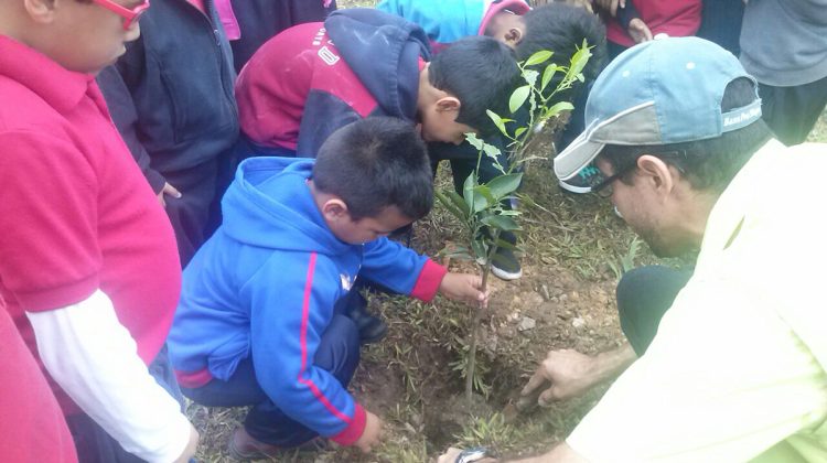 Niños participaron en siembra de árboles