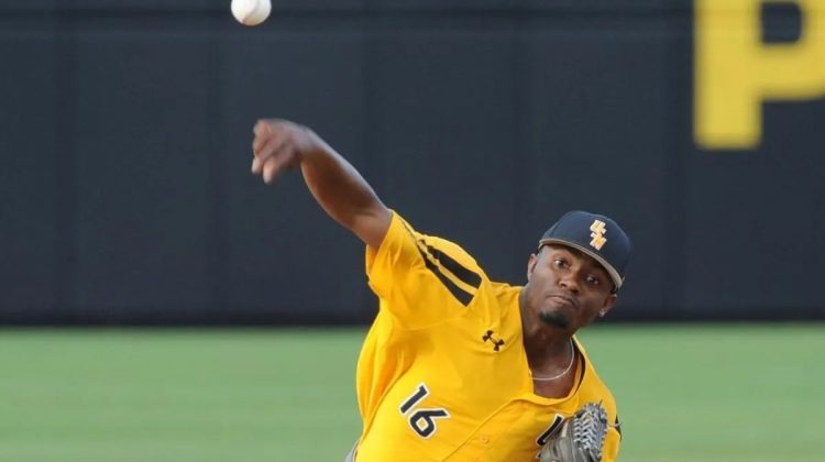 PITCHER  LEONES