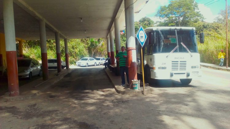 Parada de San antonio