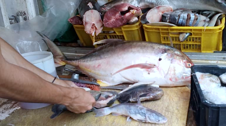 Pescado