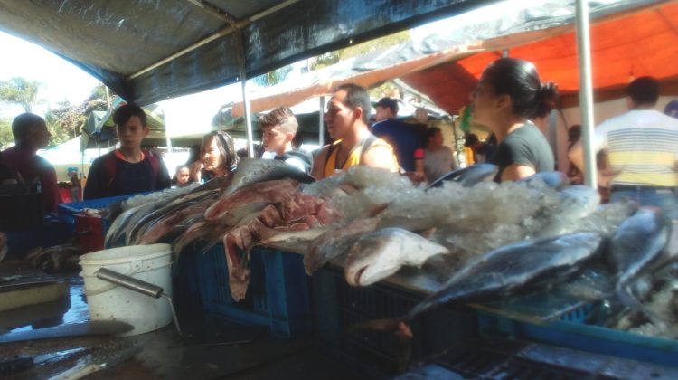 Pescado