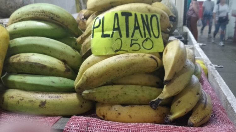 Plátanos desde Bs. 200
