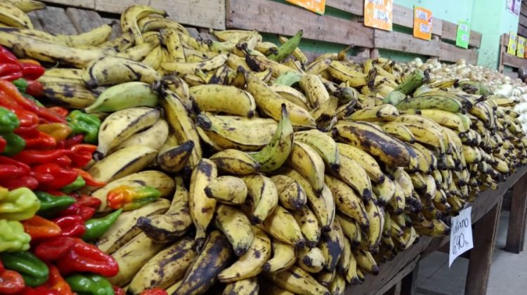 Platanos