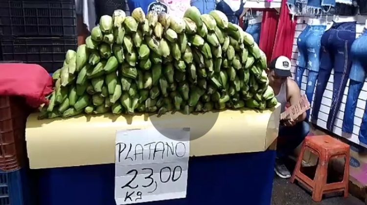 Platanos