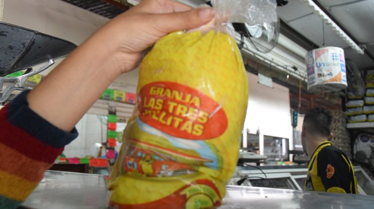 Pollo