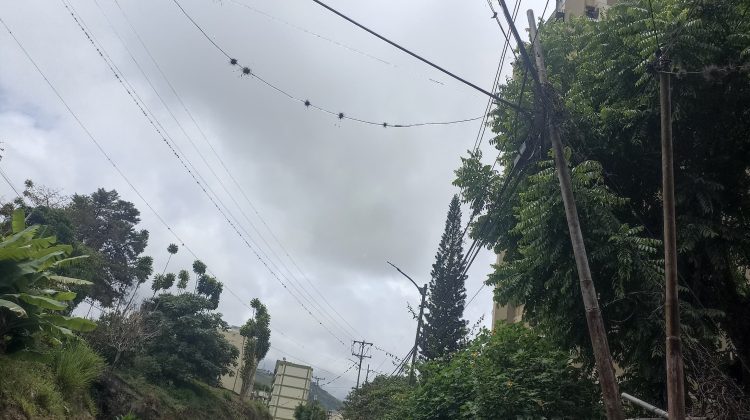 Poste El Barbecho (2)