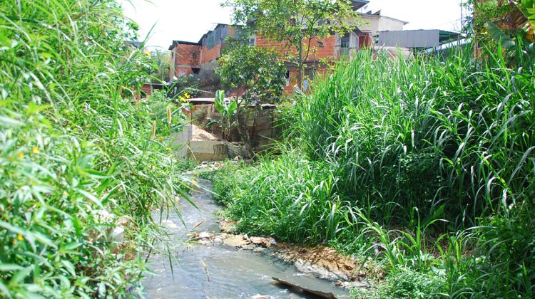 QUEBRADA CAMATAGUA