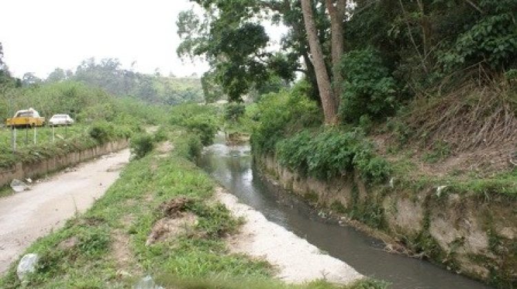 SONY DSC
