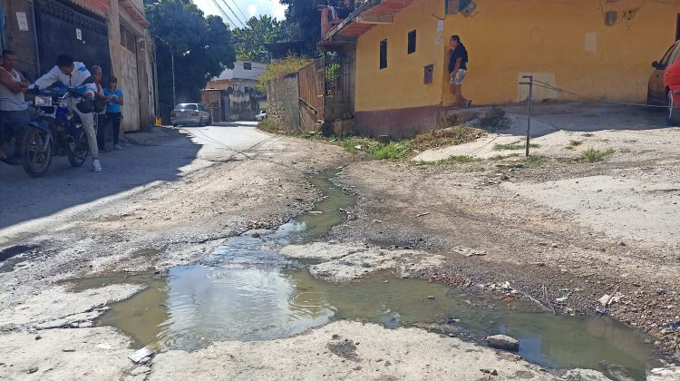 Ramo-verde-callejon-alvares-1-1