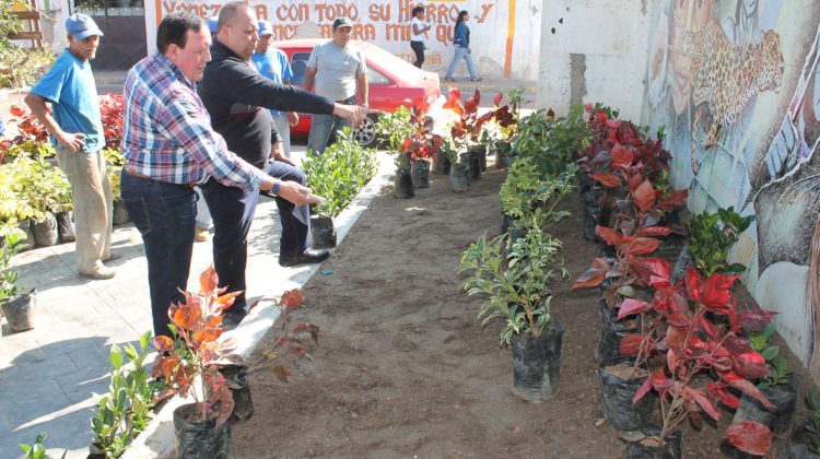 Reforestacion-plaza-Bolivar
