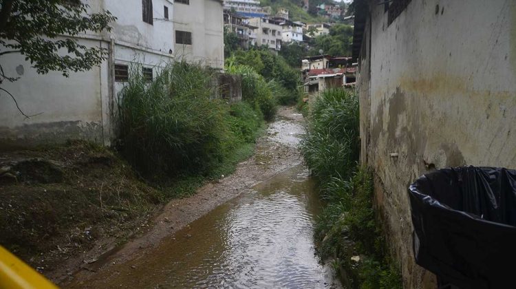 Río San Pedro 1