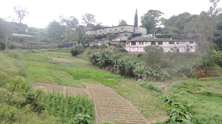 San Diego, el Parador