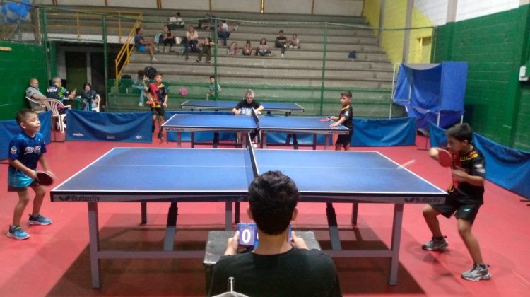 TENIS DE MESA