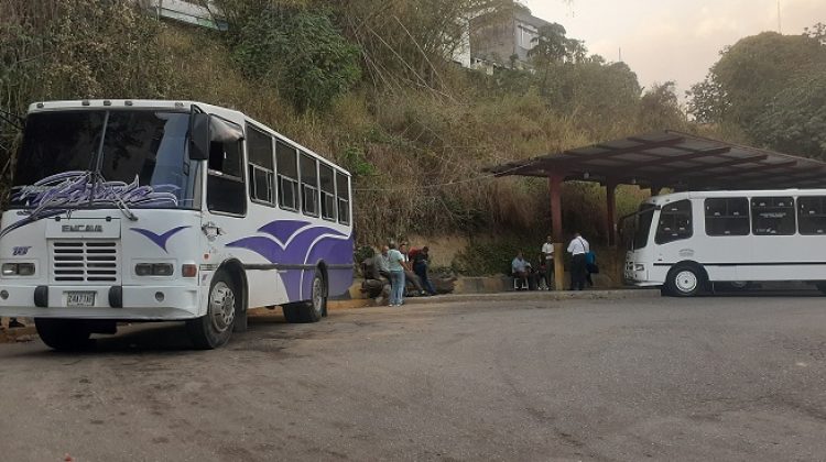 TERMINAL LA HOYADA