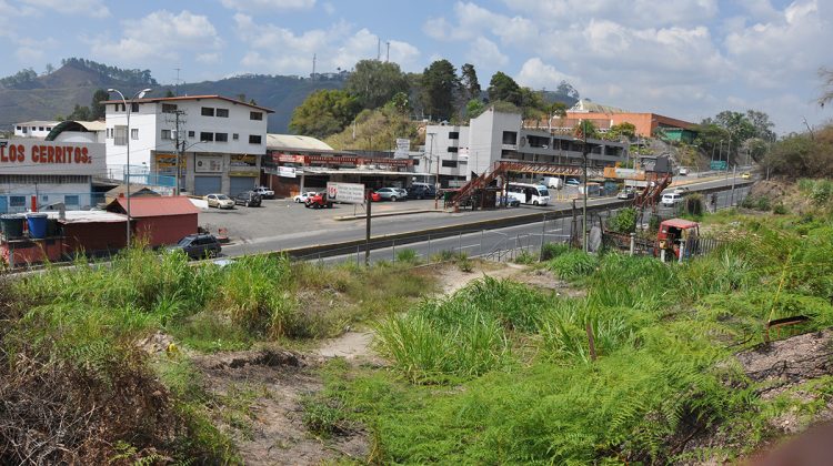 TERRENO