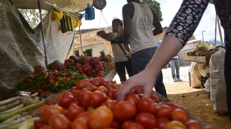 TOMATES