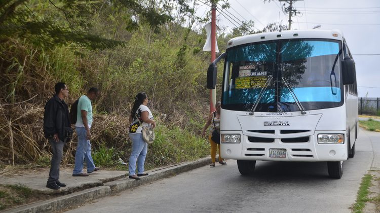 TRANSPORTE ALTO VERDE