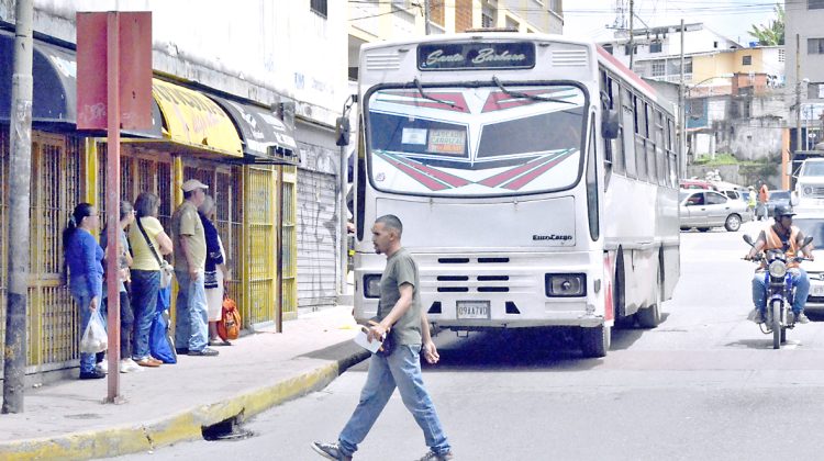 Transporte Carrizal