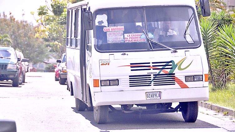 Transporte en la Rosaleda Sur