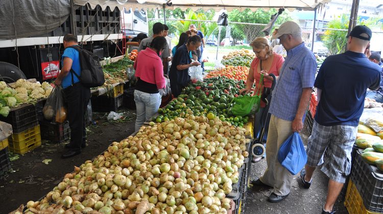 VEGETALES 2