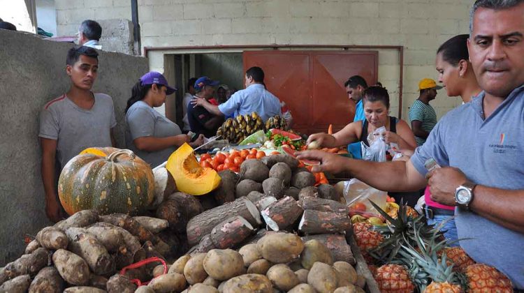 VEGETALES LOS LAGOS 1