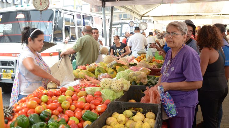 VERDURAS