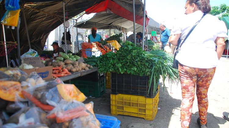 VERDURAS