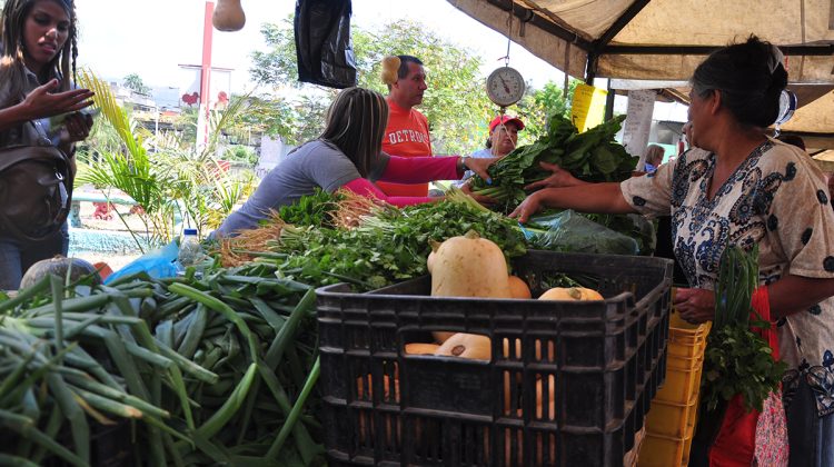 Verduras