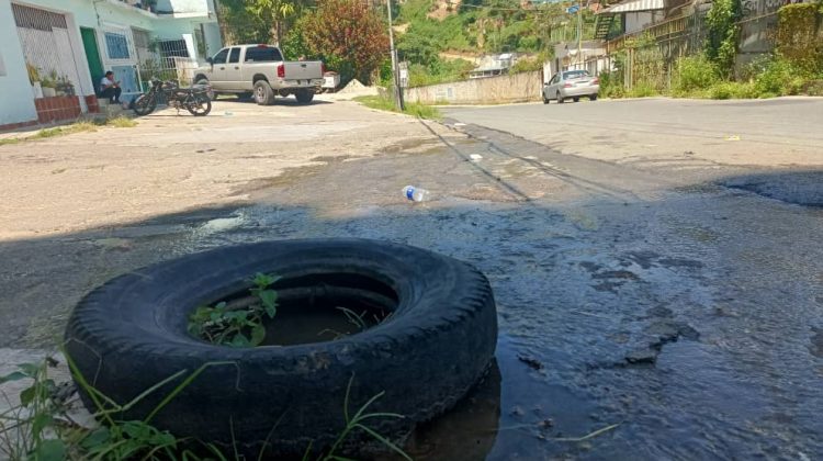 WhatsApp Image 2025-08-17 at 13.49.29